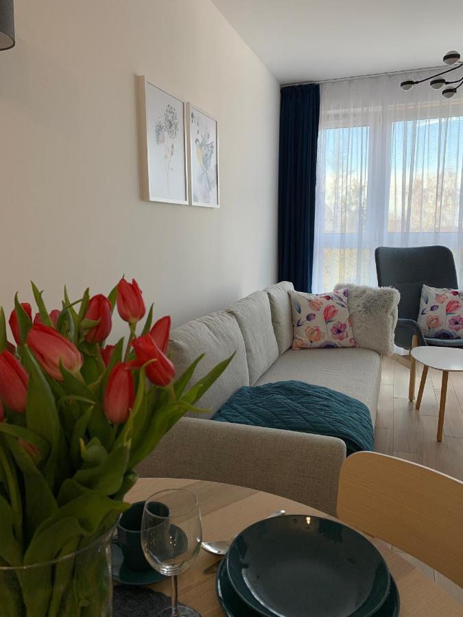 Apartamenty Bliska 33 Bielsko-Biala Exterior foto